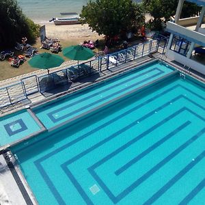 Paradise Beach Resort&Diving school